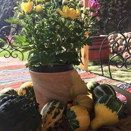 بيت للعطل Kada