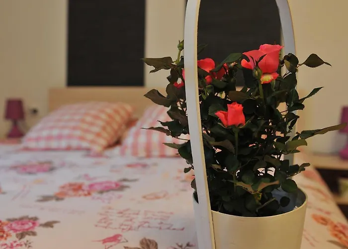 Kada ベログラドチク